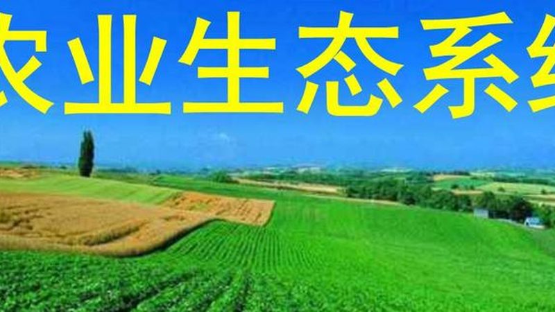 农资展会时间表：把握行业脉搏，规划参展策略