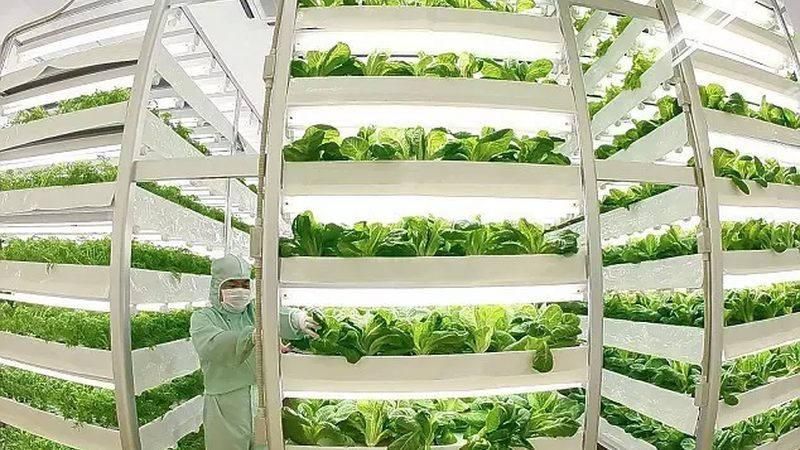 家庭农场与合作社的申请之路：条件揭秘与关键要点