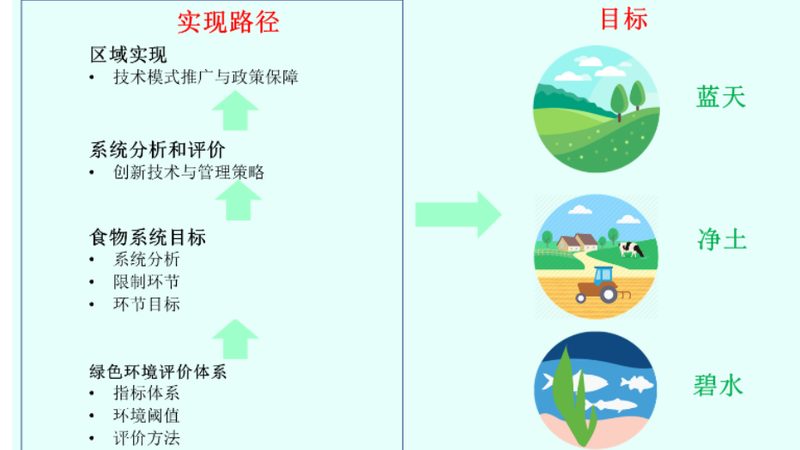 绿色食品续展与初次申请：关键区别与流程解析