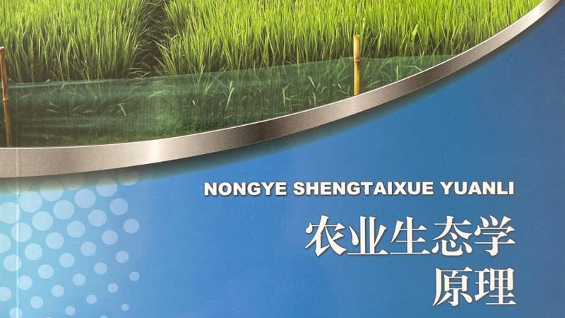 小型粮食种植加盟：揭秘加盟成本与盈利模式