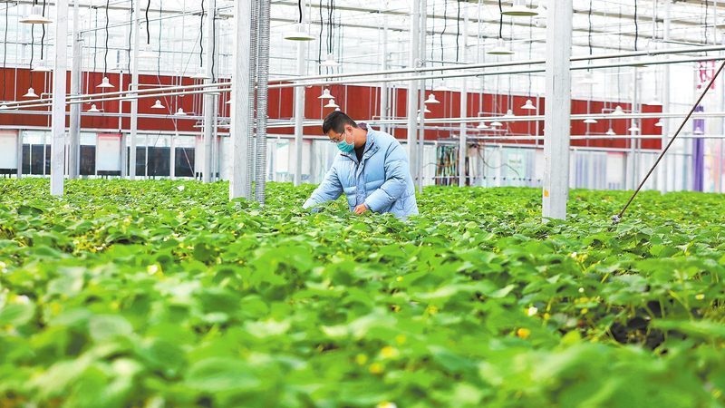 成都农资店装修设计公司