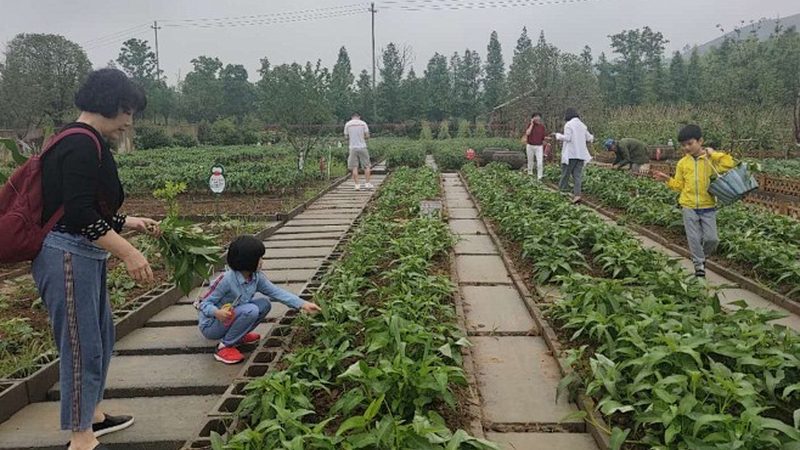 绿色食品认证，小企业如何顺利通关？**
