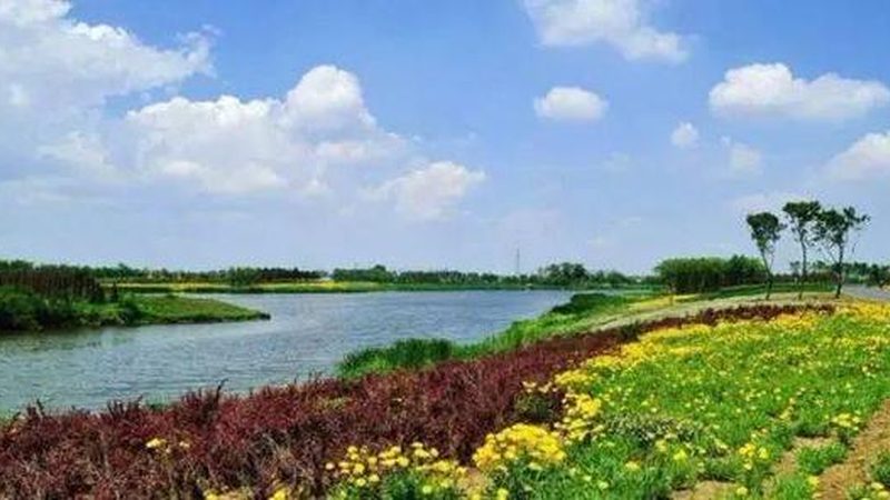 庭院方寸地，也能长出好效益