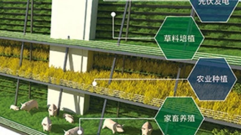 2025年全国农产品批发市场展会排期怎么看