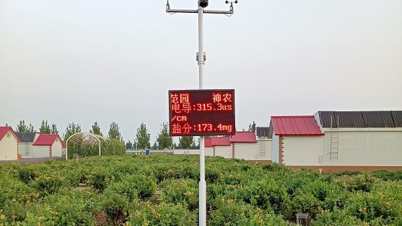 生态农业示范基地建设，如何打造高效模式？**
