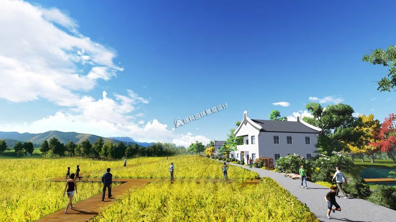 误区：过量使用农药