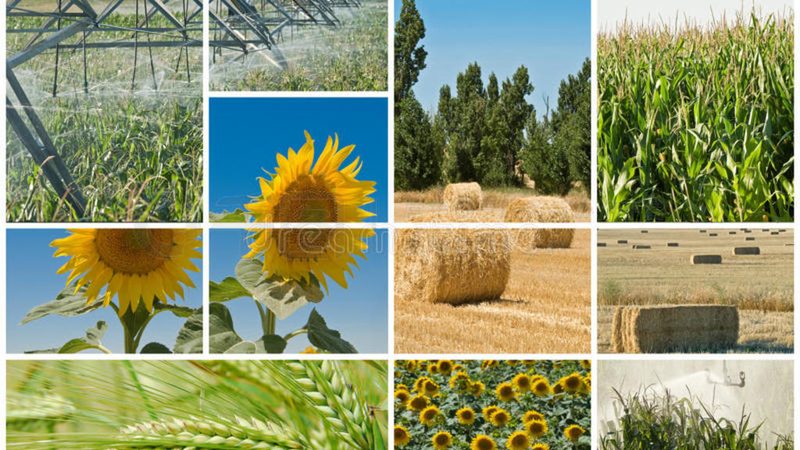 农业种植机械：价格之外，你还需要了解这些