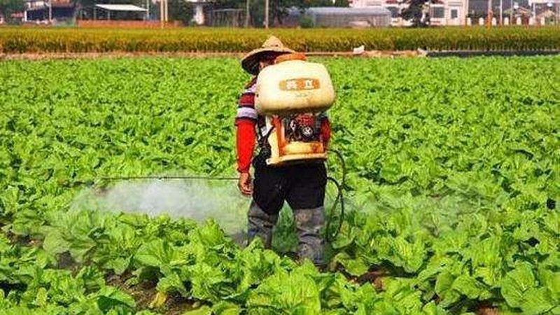 反季节水果种植：如何提升效益与品质**