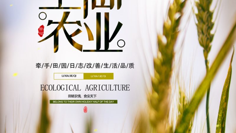 农产品电商平台收费标准解析：揭秘价格构成与影响因素